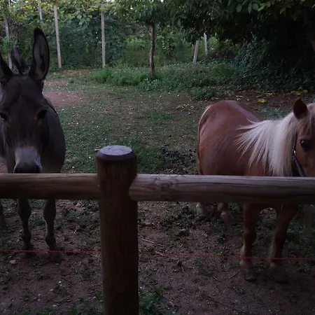 Bauernhof Agriturismo Fior Di Pesco *