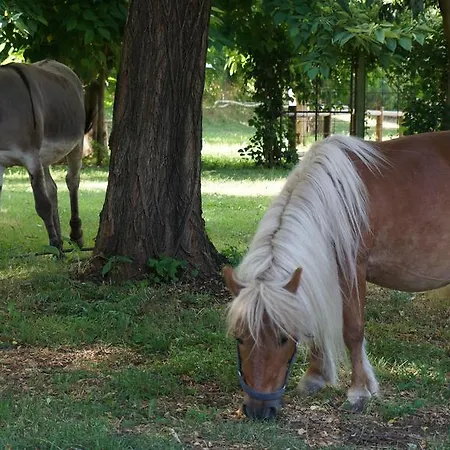 Agriturismo Fior Di Pesco *